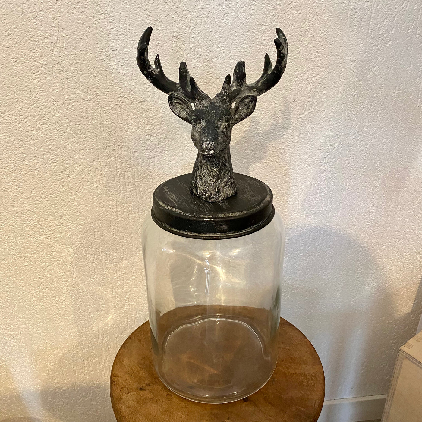 Glasdose Hirsch